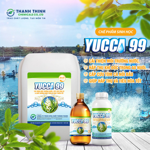 Xử Lý, Cải Tạo Môi Trường Nước