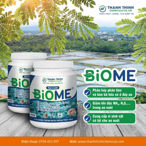 BIOME® - Giảm khí độc, phân hủy phân tôm và mùn bã hữu cơ ở đáy nước ao nuôi