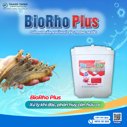 BioRho Plus (5L/can) - Phân hủy cặn bã hữu cơ, cải thiện môi trường nước. Giảm khuẩn, khử khí độc trong nước