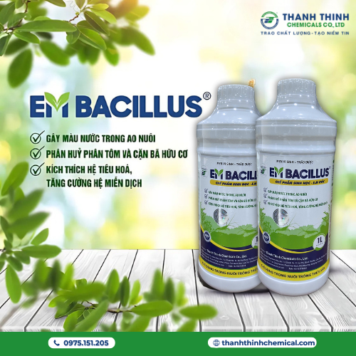 EM BACILLUS (EM GỐC ĐẬM ĐẶC) - Gây màu nước trong ao nuôi, phân hủy phân tôm cá, kích thích hệ tiêu hóa