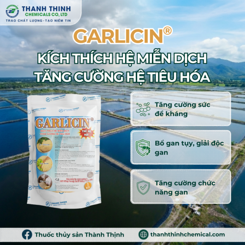 GARLICIN® (1 kg/gói) - Tăng cường sức đề kháng, giúp tôm cá phát triển tốt, Bổ gan, giải độc gan, tăng cường chức năng gan